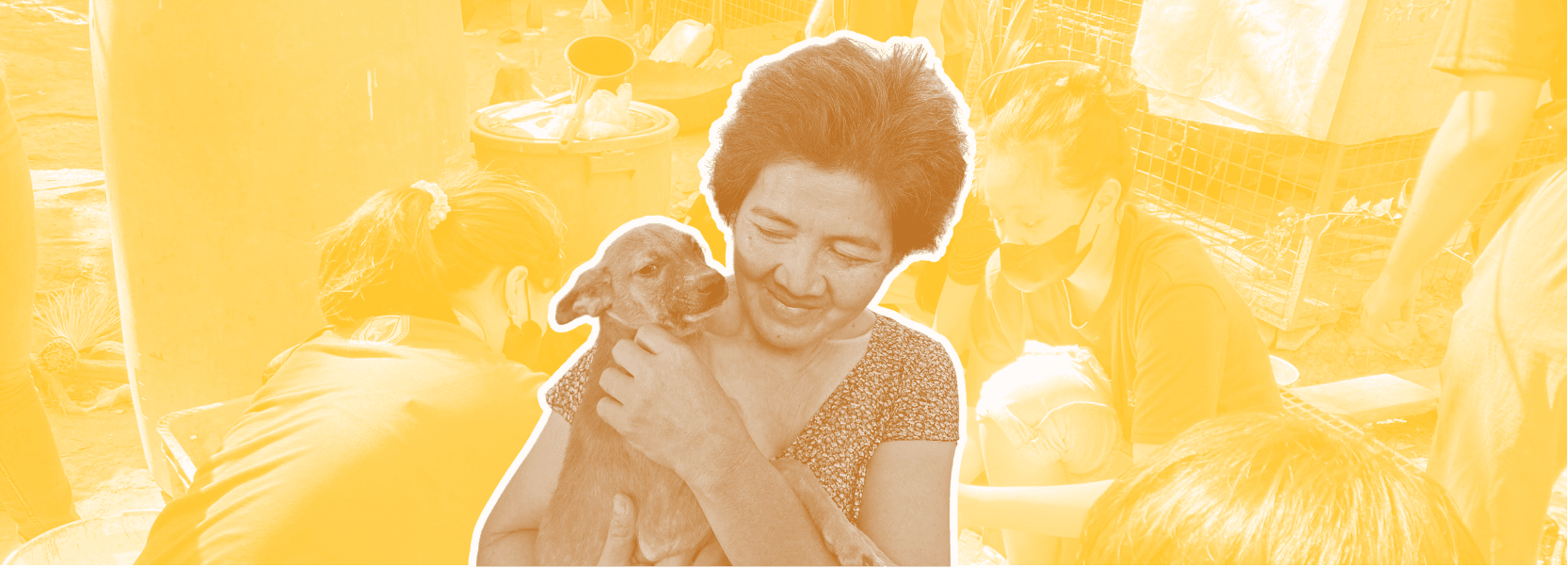 Journey of rescued animals finding safety and healing